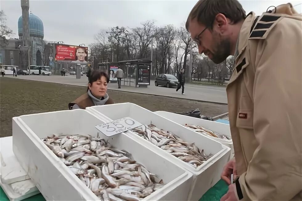 Где вкусная корюшка в питере. Корюшка Санкт-Петербург. Праздник корюшки в Санкт-Петербурге 2022. Корюшка Питер. Корюшка на прилавке.