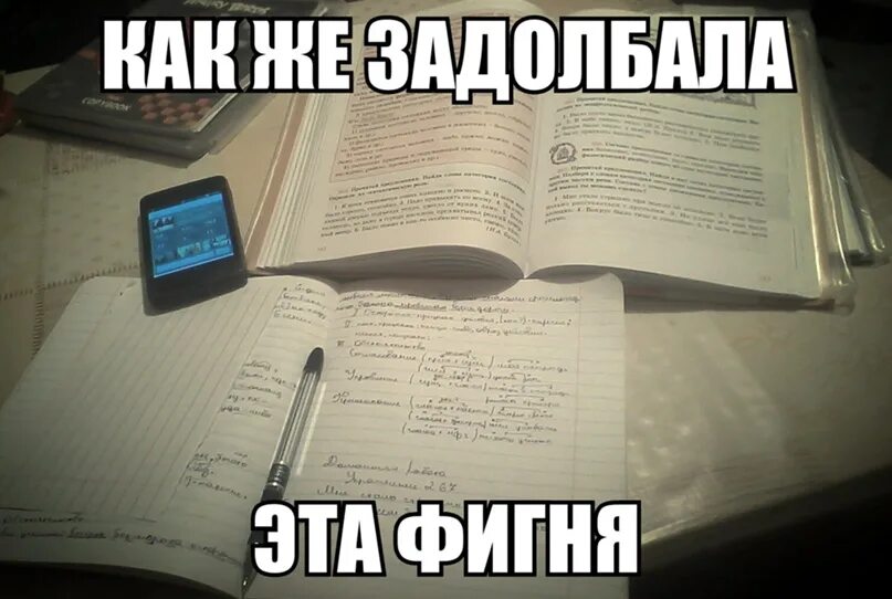 Как же задолбала эта школа. Шутки про учебу. Прикольные картинки про учебу. Приколы про учёбу в картинках. Приколы про учебу в институте.