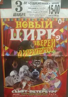 Цирк курган