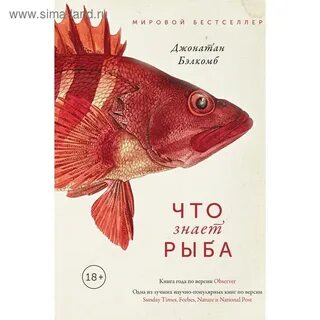 Знаешь рыбы