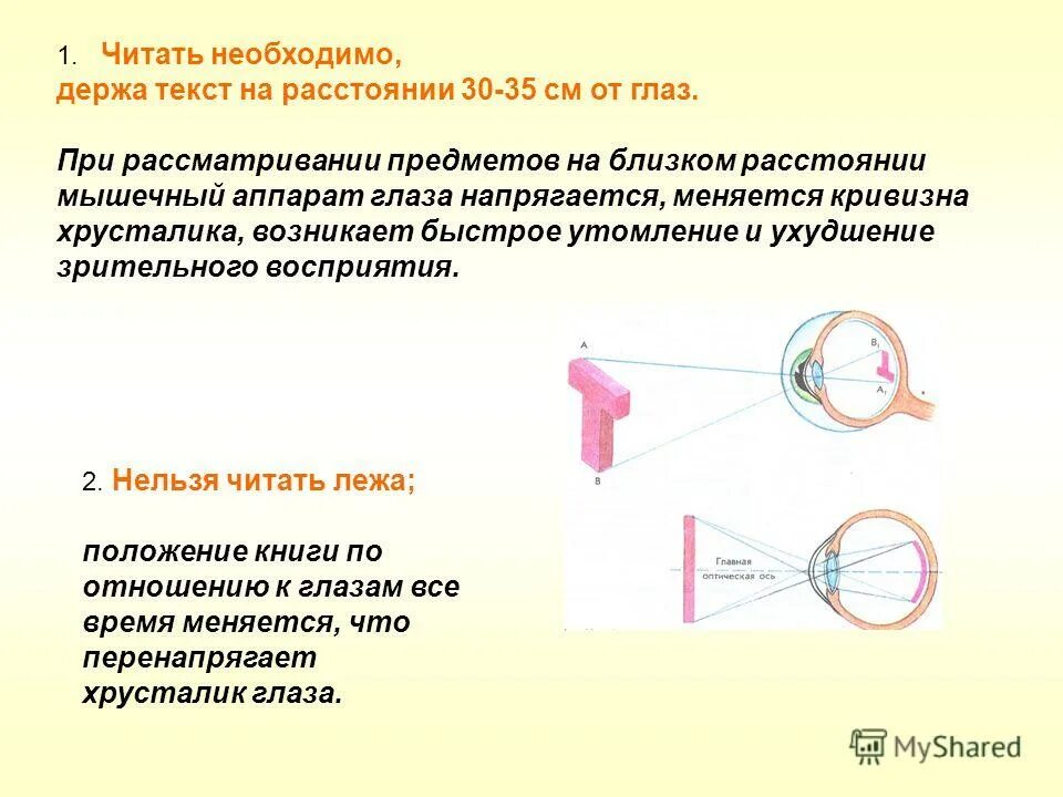 Преломляющая сила оптической системы глаза. Строение глаза оптическая система глаза. Механизм сужения зрачка при аккомодации. При рассматривании близких предметов хрусталик. Зона самого ясного видения предметов в глазу.