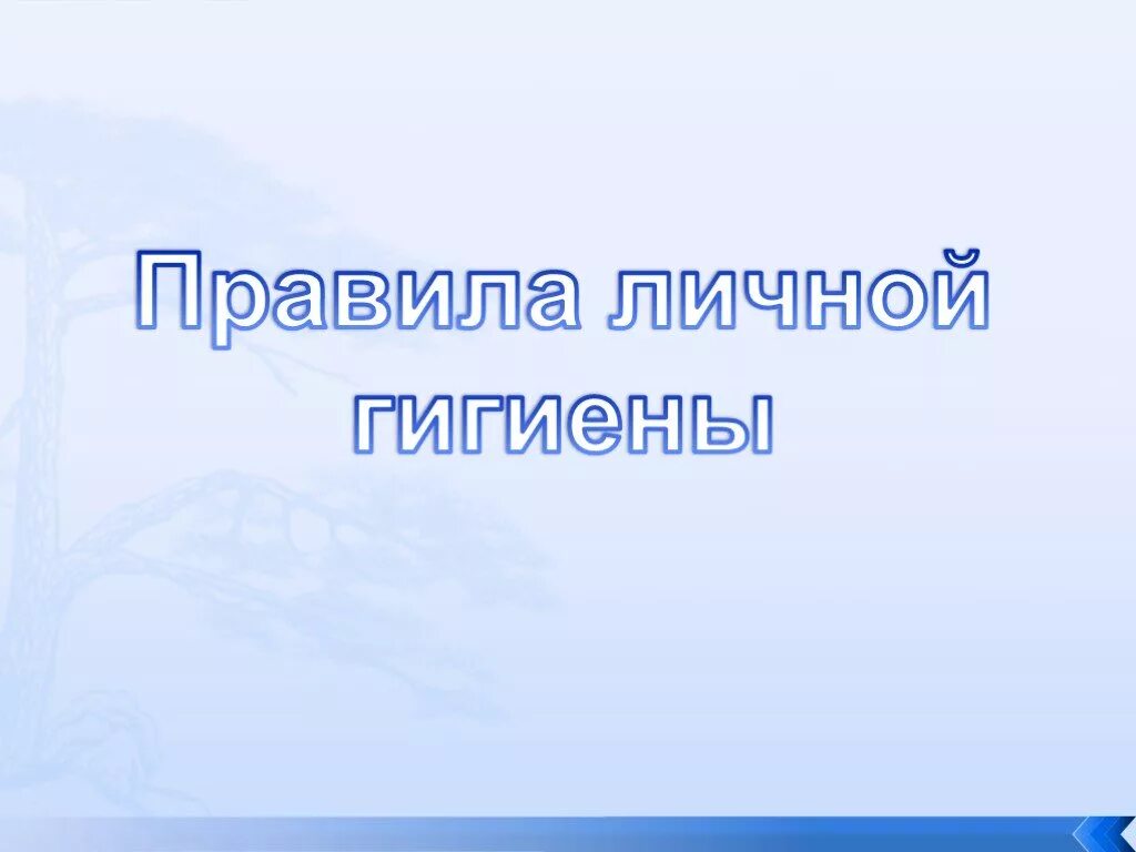 Проект про гигиену 3 класс. Личная гигиена 3 класс. Гигиена 3 класс ОБЖ. Реферат по теме гигиена 3 класс.