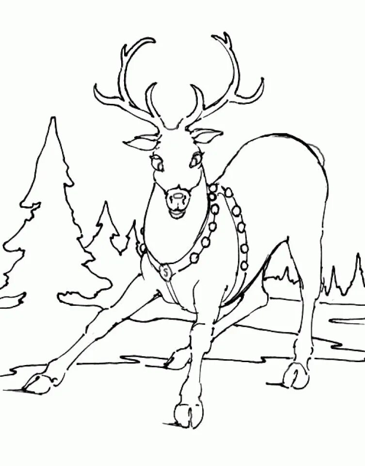 Рисунок оленя на новый год. Северный олень раскраска для детей. Раскраска Северный олень новогодний. Олень раскраска для детей новый год. Раскраска зимний олень.