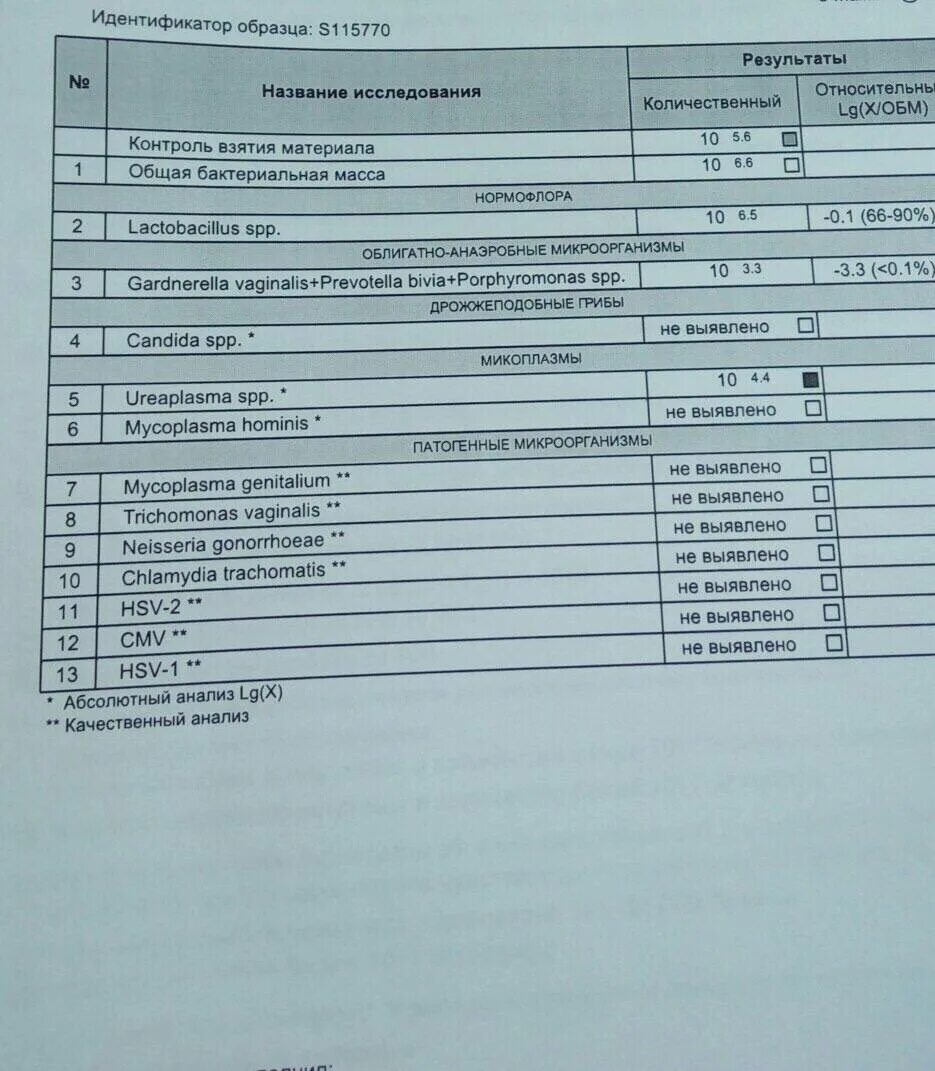 Гарднерелла превотелла порфиромонас SPP. Gardnerella vaginalis+Prevotella bivia+Porphyromonas SPP. Норма. Гарднерелла 10 в 4. Гарднереллы 10 в 5 степени.