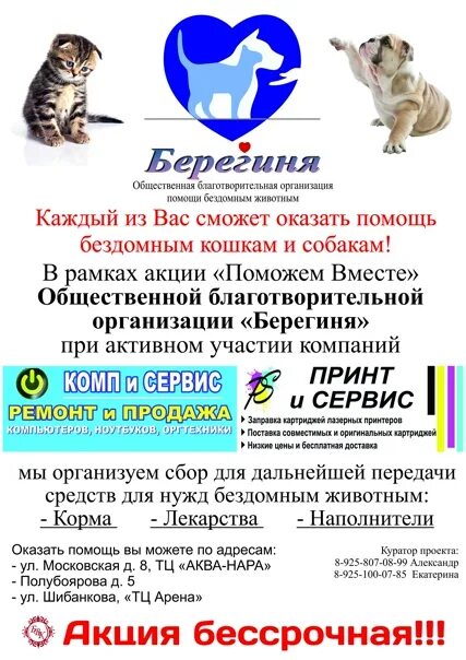 Приют наро-фоминск для собак. Кильдинстрой приют. Приют берегиня. Мурманский областной дом ребенка. Приют берегиня мурманск.