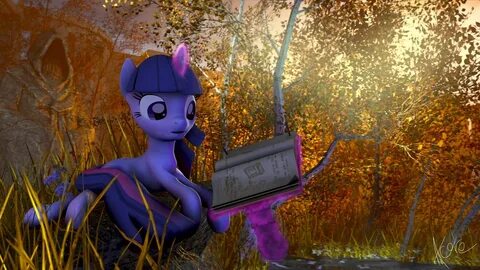 Compilation d animations