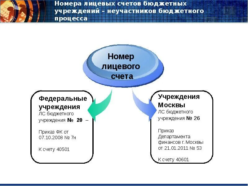 Лицевой счет бюджетной организации. Лицевой счет бюджетного учреждения. Лицевой счет бюджетного учреждения пример. Номер лицевого счета бюджетного учреждения. Лицевые счета казенных учреждений.