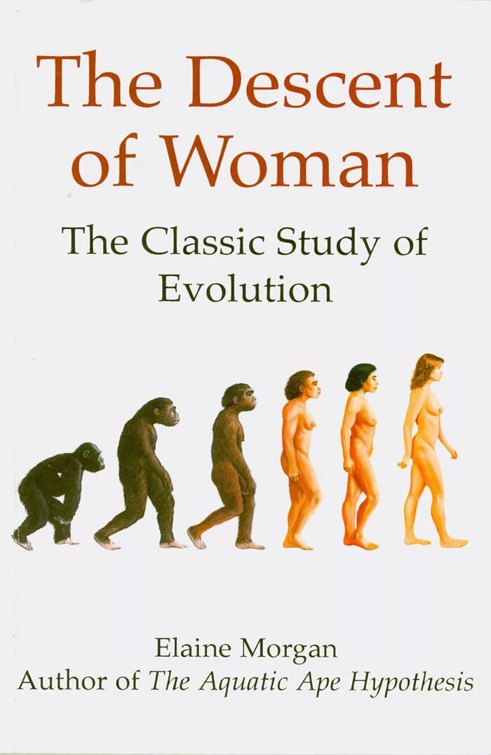 Evolution study