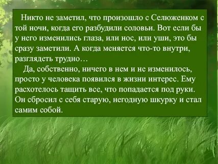 Плохо лежало