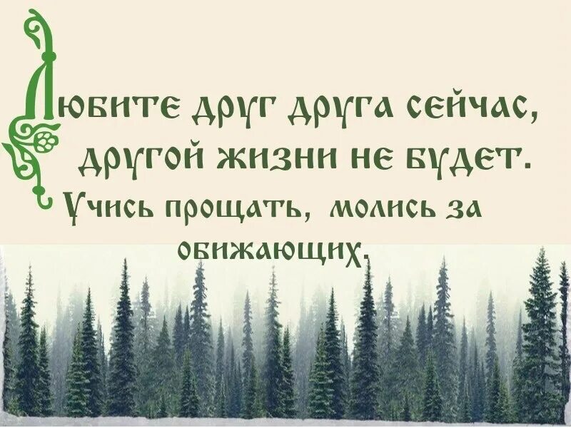 Стих умей прощать. Простим друг друга. Нужно прощать друг друга. Пастернак прощение