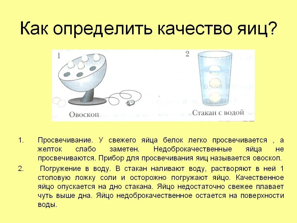 Определение качества яиц. Как определить качество яиц. Как определяется качество яиц. Проверить качество яиц. Как проверить качество воды в домашних