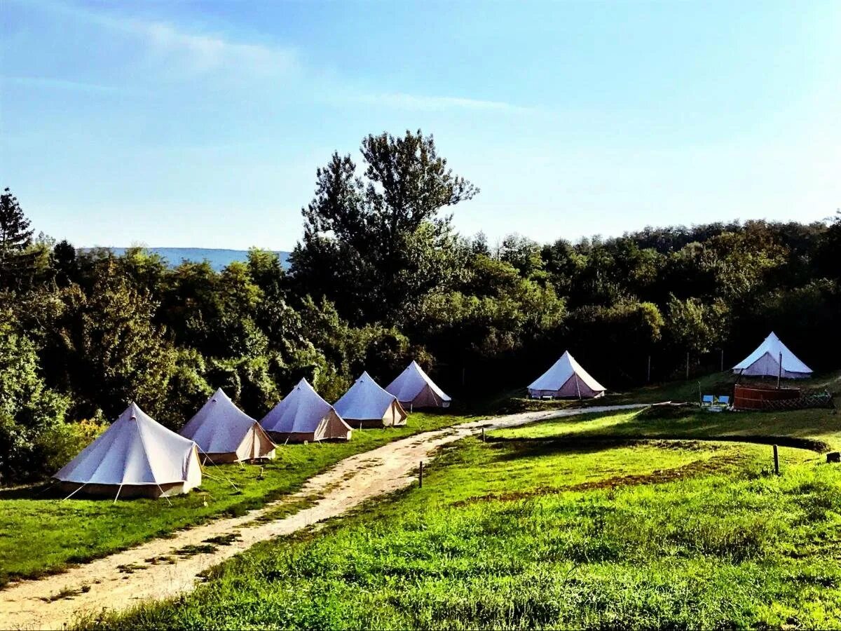 Www camping. Поляна глэмпинг Куршская коса. Автокемпинг глэмпинг. Куршская коса кемпинг глэмпинг. Новосиль глэмпинг.