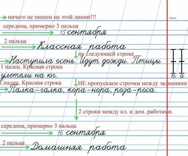 Класс Оформления Latin