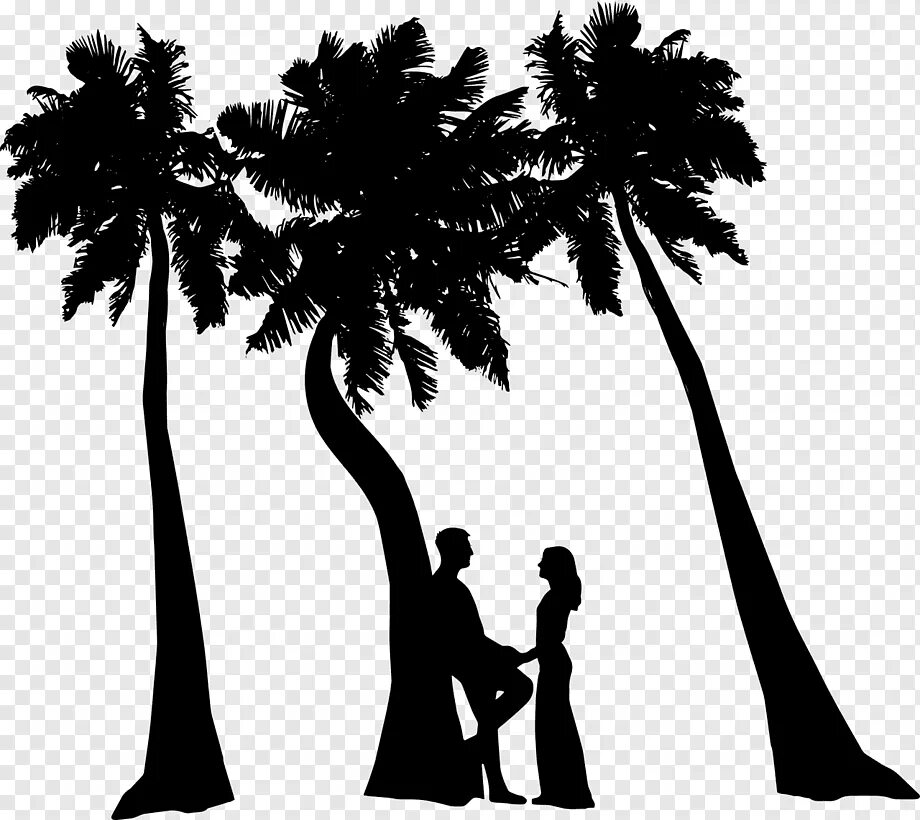 Остров возлюбленных. Силуэт пары сверху. Силуэты пары Египет. Фотосессия пара пальмы черно белая. Пара у моря силуэт.