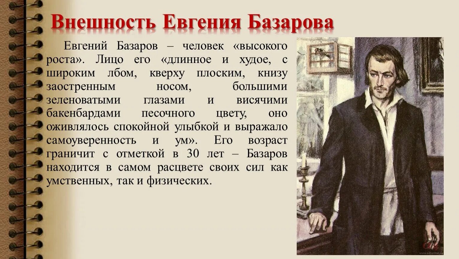 О чем говорит портрет героя