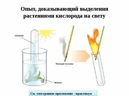 Экспериментатор решил изучить влияние температуры