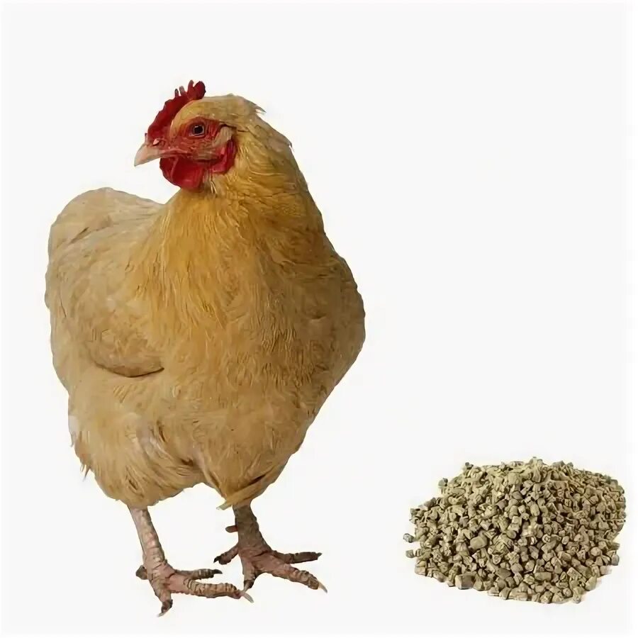 Мешка несушкам