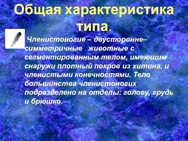Членистоногие животные с двусторонней