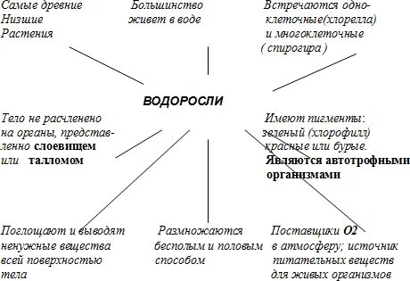 Водоросли таблица 7