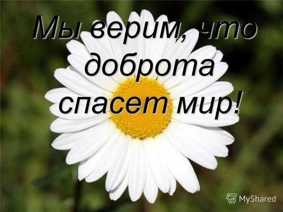 Доброе слово спасает