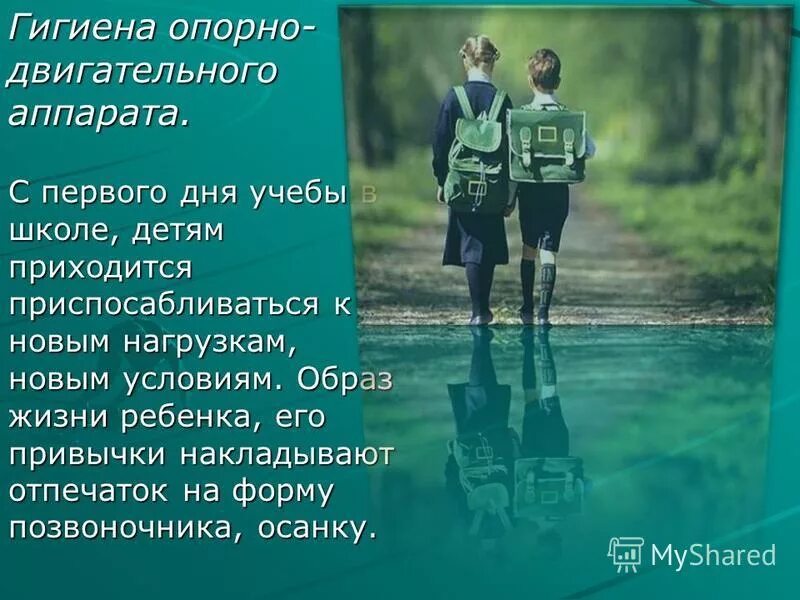 гигиена опорно двигательной системы человека. памятка по гигиене опорно-двигательной системы. профилактика нарушений опорно-двигательной системы. принципы гигиены опорно двигательного аппарата. нарушение и гигиена опорно двигательной системы.