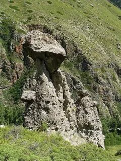 Загадка алтая