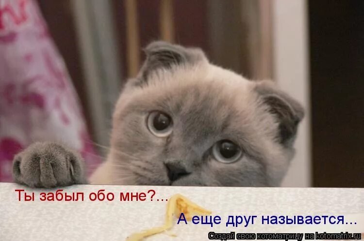 я нажимаю стоп забудь обо мне. забыв меня сегодня не вспоминвй те обо мне завтра. забыв обо мне сегодня не вспоминайте обо мне завтра. вспоминаешь обо мне цитаты. забыли меня сегодня не вспоминайте обо мне завтра.