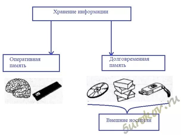 Хранилище информации ответ. Схема хранение информации 5 класс информатика. схема хранения информации оперативная память. схема хранения информации информатика 5. заполните схему хранение информации.