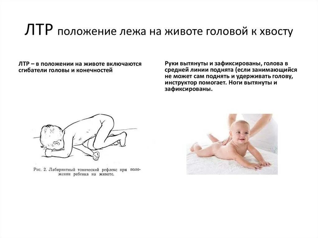 Положение месяца. Тонический рефлекс - лабиринтный тонический рефлекс (лтр). как должен держать голову ребенок в 2 месяца. когда ребенок начинает держать голову. ребёнок держит голову лежа на животе.