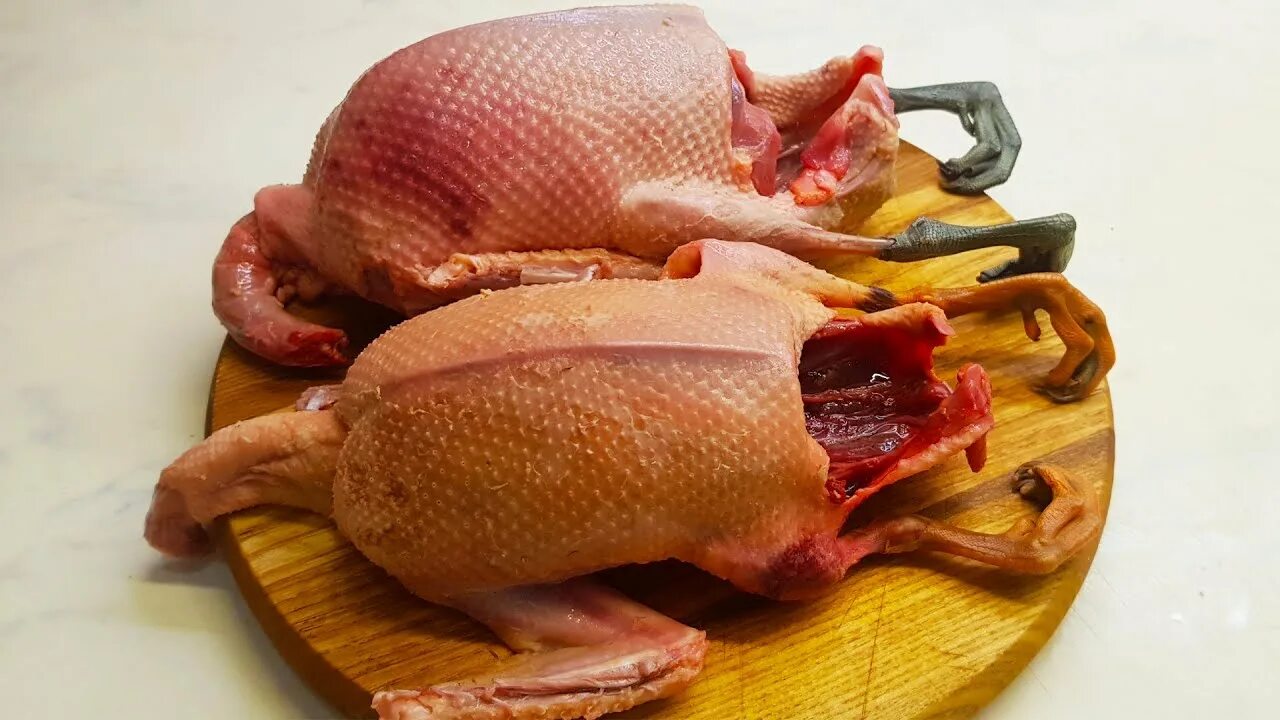 Тушка дикой утки. Тушка дикой утки. Тушки дикой утки в казане. Мясо утки. Тушка дикой утки.