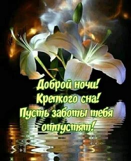 Хорошего доброго вечера и спокойной ночи картинки