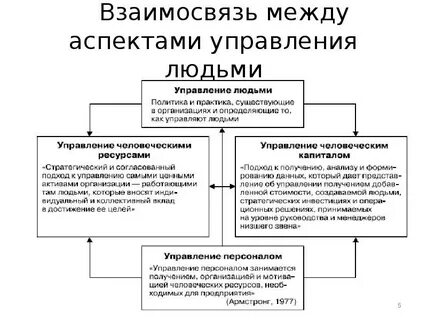 Взаимосвязь между организацией и управлением