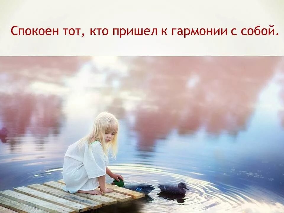 Высказывания о природе. Цитаты душевные и теплые. Фразы про гармонию. Пожелание спокойствия в душе. Закономерности жизни.