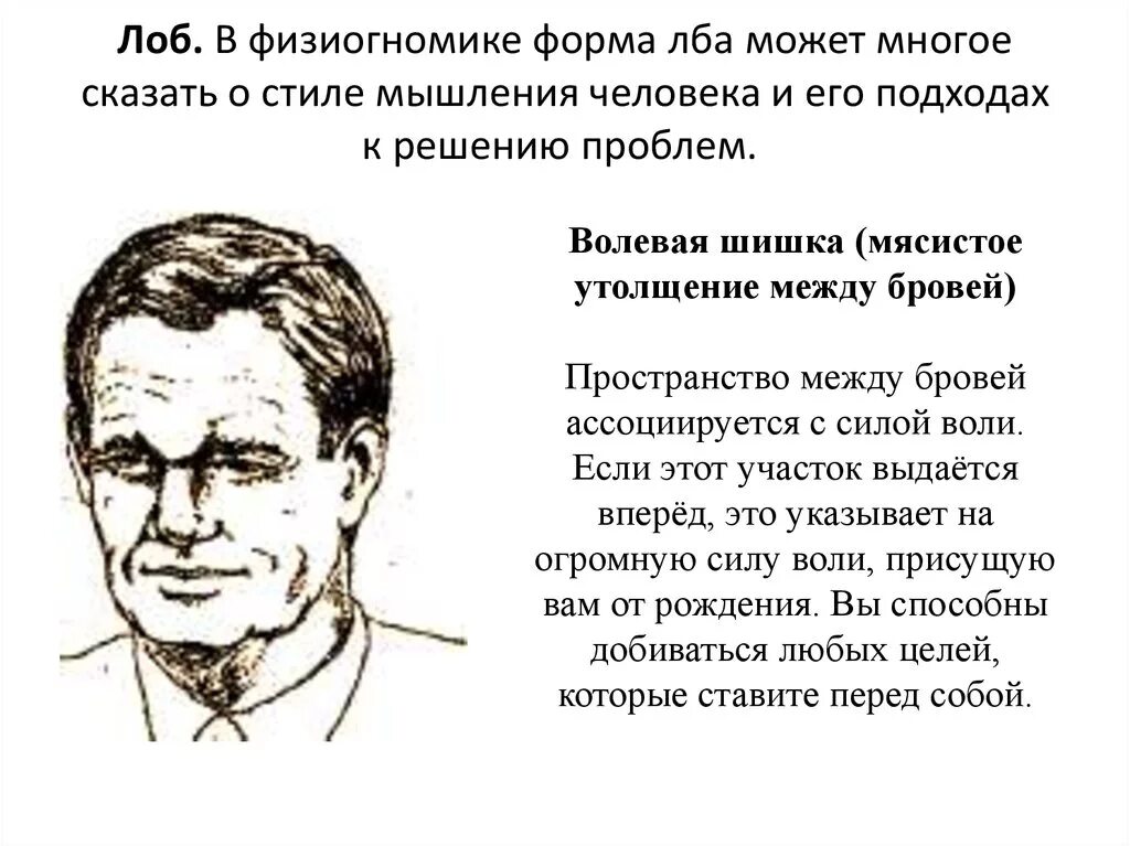 Лоб характер. Физиогномика лоб. Форма лба физиогномика. Физиогномика лица лоб. Волевая шишка физиогномика.