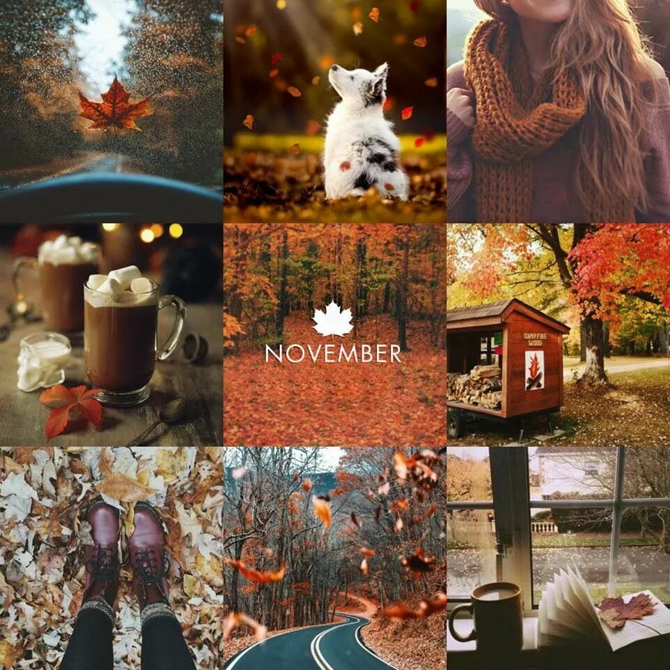 Warm november. Уютные коллажи. Осень ассоциации. Ноябрь коллаж. Ноябрьский коллаж.