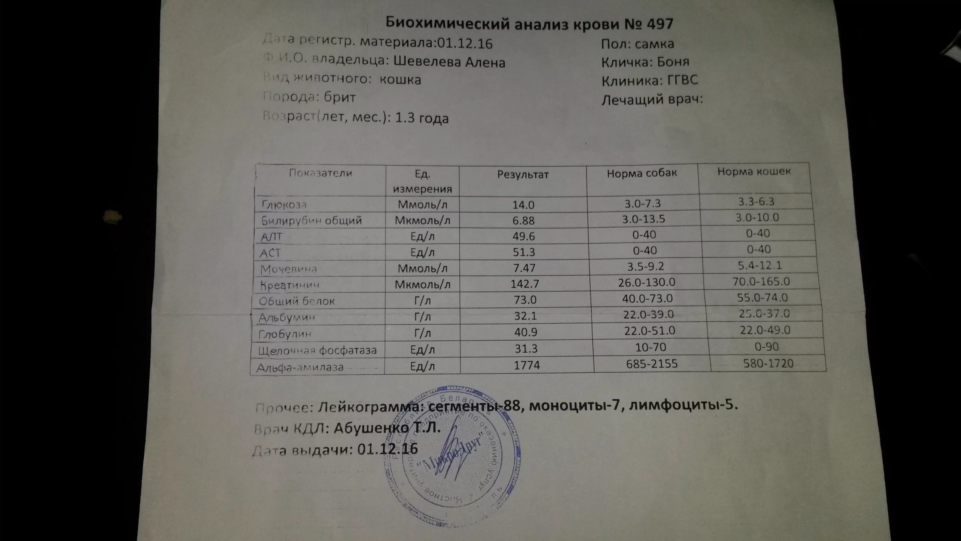 Когда будут готовы анализы крови. Анализ крови. Общий биохимический анализ. Биохимия крови анализ. Б/Х анализ крови.