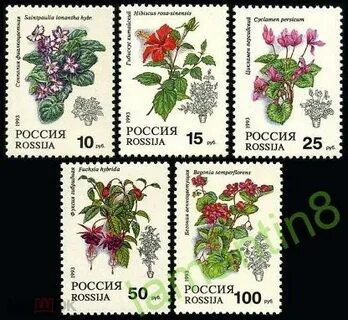 Цветок 1993