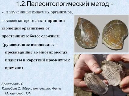 Какая наука изучает остатки организмов