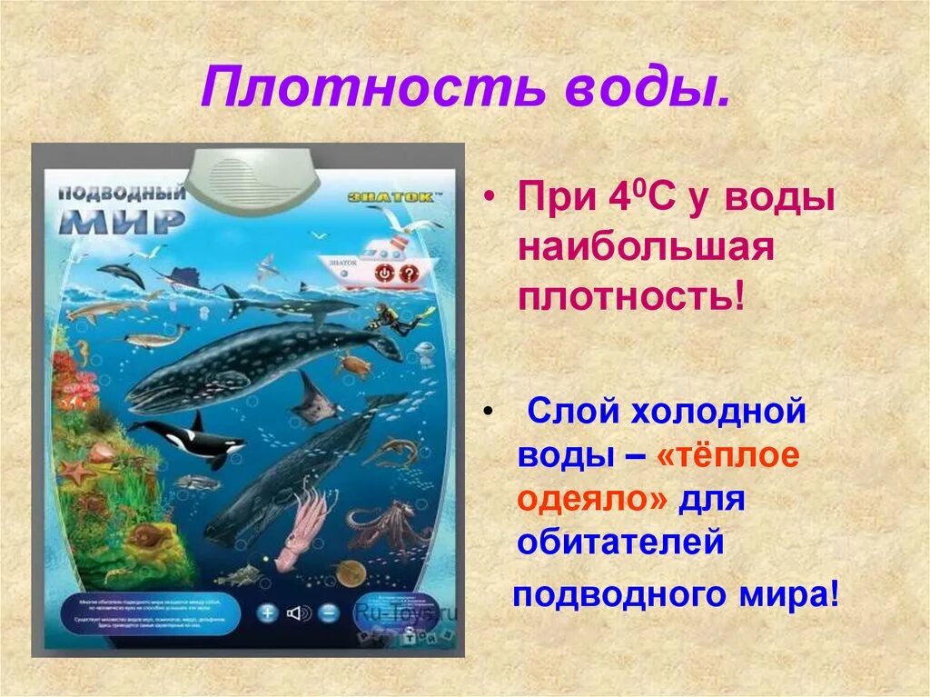 Плотность воды кратко 5 класс биология. Плотность воды. Плотность воды 4. Роль плотности воды. Подводный и водичка предложением.