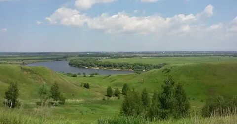 Фруктовая московская область
