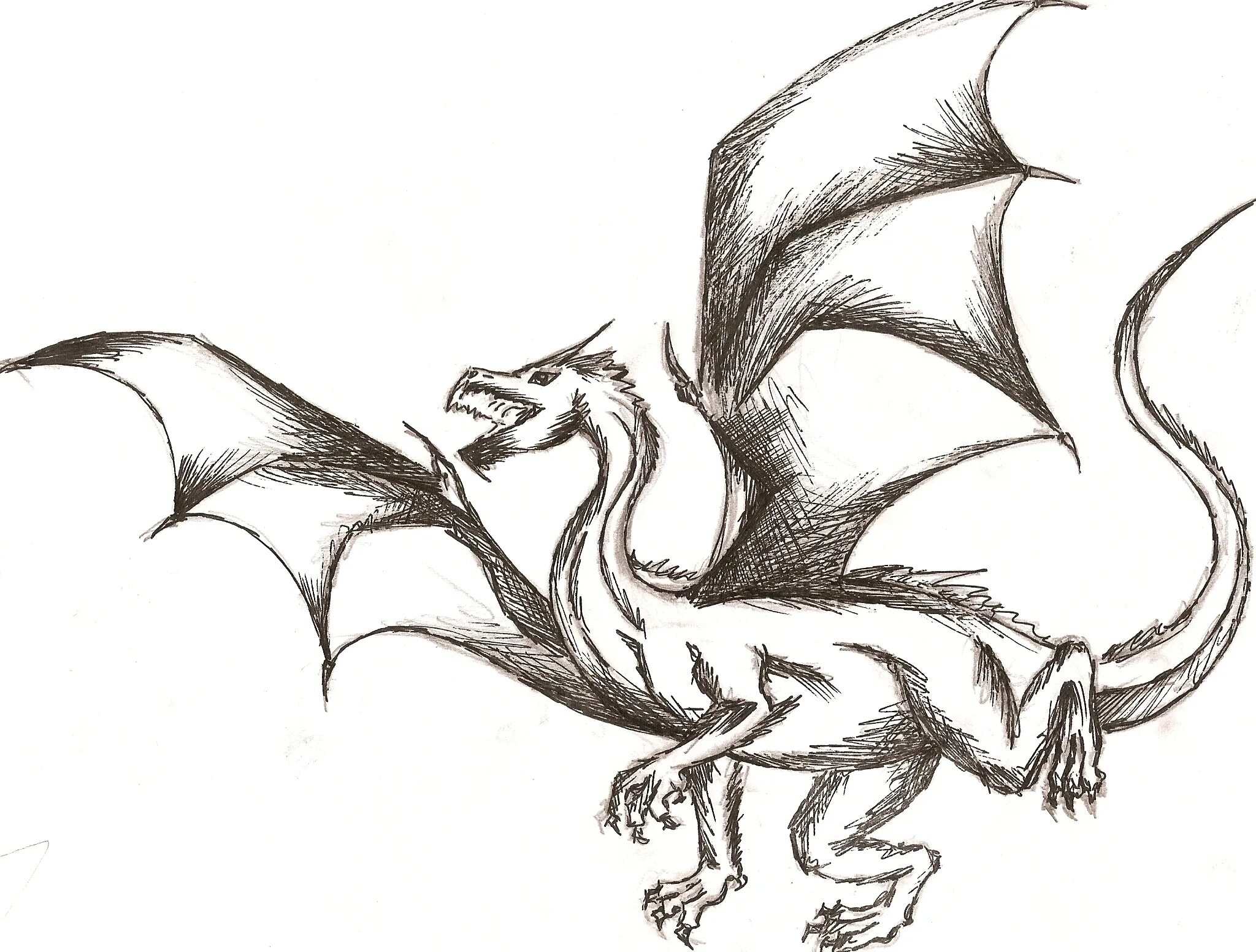 Дракон легко и быстро. Дракон рисунок карандашом. Рисунки драконов карандашом. Рисунки драконов для срисовки. Рисунок дракона для срисовки.