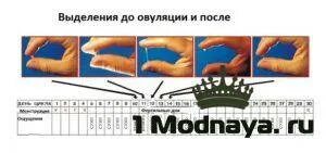 Какие выделения должны быть перед месячными форум. Какие выделения должны быть перед месячными форум