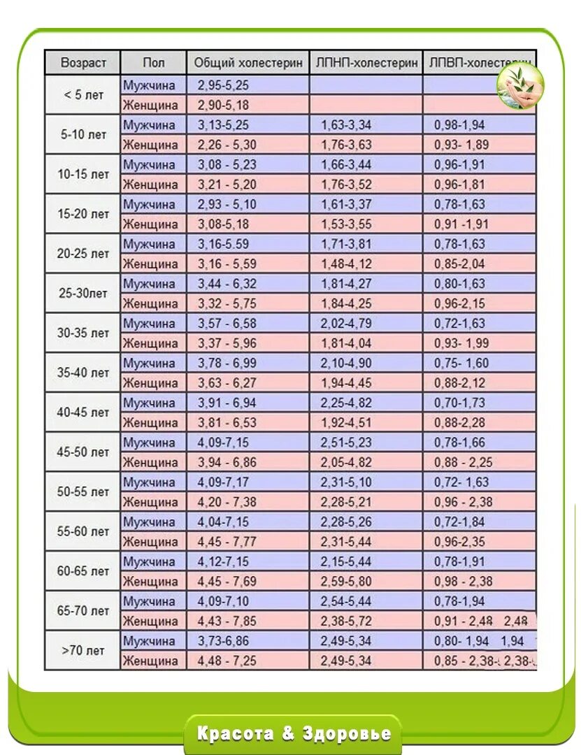 Лпнп норма у мужчин по возрасту. Таблица нормы холестерина по возрастам в СССР. Таблица норм холестерина по возрасту. Нормы холестерина в крови у женщин таблица. Таблица уровня холестерина в крови по возрасту.