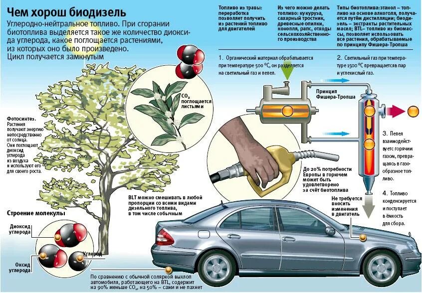 Из нее делают бензин. Биодизель биоэтанол. Жидкое биотопливо биодизель. Из чего получают биодизель. Из чего производят биодизель.