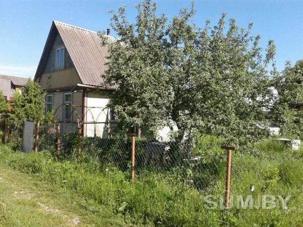 Дача под могилев. Деревня новоселки могилевская область. дача могилев 8 садовая. волоки могилев фото.