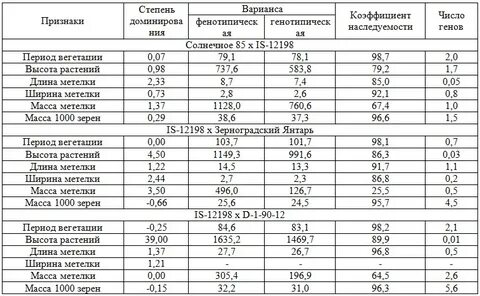 Сколько весит 1000