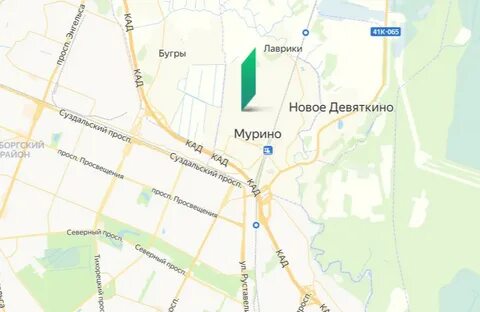 Осельки девяткино сегодня
