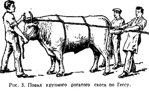 Способ гесса