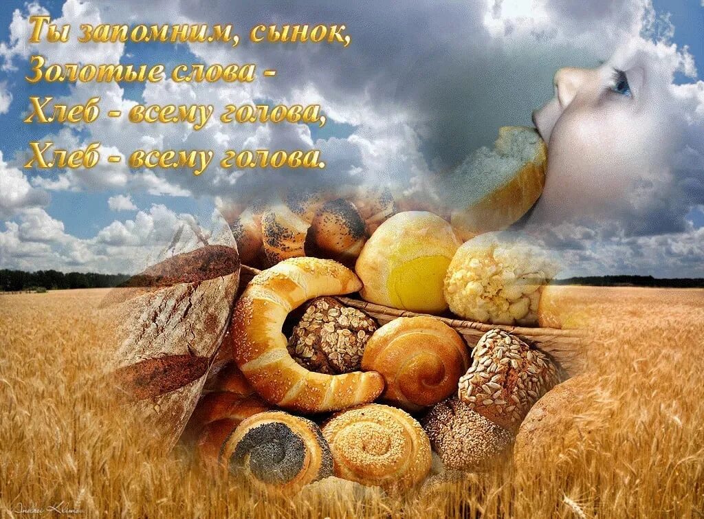 Воды и хлеба дай. Всемирный день хлеба. С днем хлеба поздравления. Открытки с хлебом. Открытка поделиться хлебом.