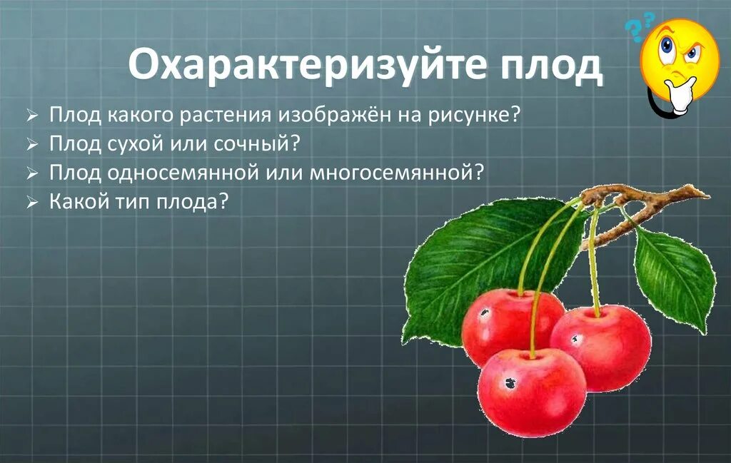 Тест по биологии плоды тема плоды. Плоды по биологии 6 класс. Плоды презентация 6 класс биология. Плоды презентация. Плоды растений.